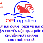 Dịch vụ hải quan chuyên nghiệp, uy tín tại Đồng Nai, Bình Dương, TPHCM