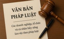 Văn bản pháp luật. Ảnh: OPLogistics.net